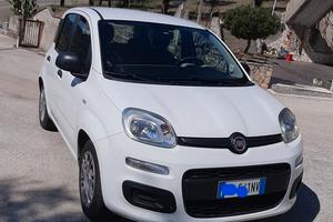 FIAT Panda 3^ serie 12/2015 1200cc GPL