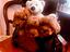Immagine 14