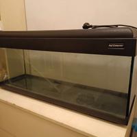 Acquario 100 L + accesori
