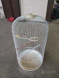 gabbia per uccelli