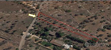 Terreno agricol a Galatone (LE), in contrada Toffo