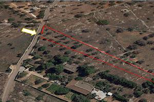 Terreno agricol a Galatone (LE), in contrada Toffo