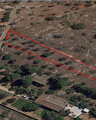 Terreno agricol a Galatone (LE), in contrada Toffo