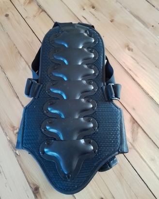 Protezione schiena - tartaruga