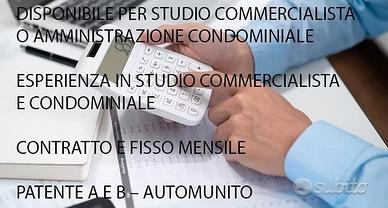 Ragioniere con esperienza amministrativa|condomini