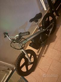 Bici elettrica bambino
