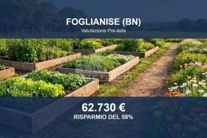 Immobile in asta di 43615 m² a Foglianise