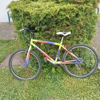 BICI MOUNTAIN-BIKE PER RAGAZZO