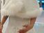 Immagine 6