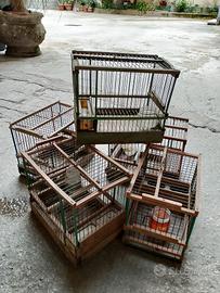 Gabbia uccelli 