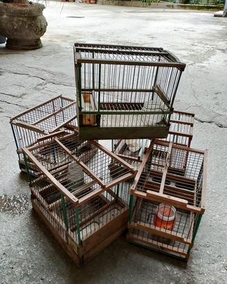 Gabbia uccelli 