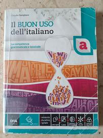 Il buon uso dell' italiano 