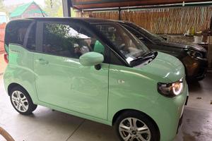 Quadriciclo pesante 100% elettrico Birba