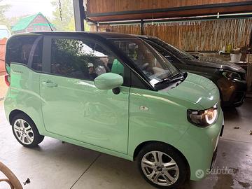 Quadriciclo pesante 100% elettrico Birba