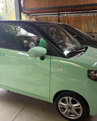 Quadriciclo pesante 100% elettrico Birba
