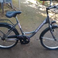 bici luna holland misura 24