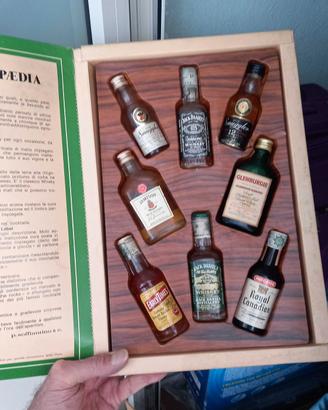 collezione di liquori mignon