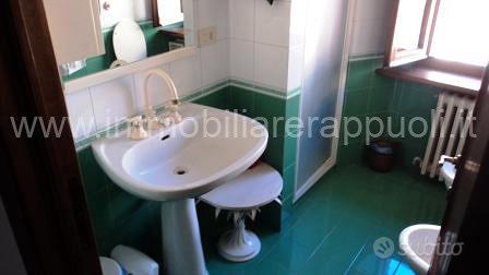 AP783 - Montisi appartamento di 75 mq rist - Vista 6