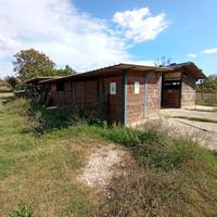 Scuderia privata con 7 box, campo sabbia e casetta