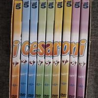 9 DVD I CESARONI SECONDA 2° STAGIONE CON BOX