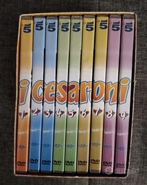 9 DVD I CESARONI SECONDA 2° STAGIONE CON BOX