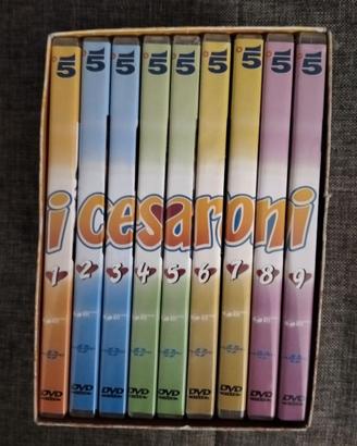 9 DVD I CESARONI SECONDA 2° STAGIONE CON BOX