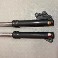 Steli Forcelle Paioli Booster 12