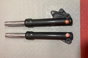 Steli Forcelle Paioli Booster 12