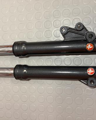 Steli Forcelle Paioli Booster 12