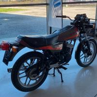 Swm 124 rz - 1980