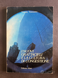I nuovi grattacieli e la cultura di congestione