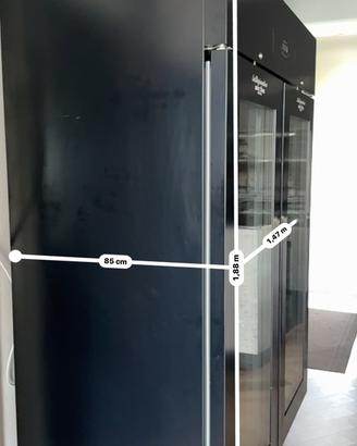 Frigo stagionatore