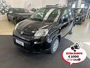 fiat-panda-1-0-firefly-s-s-hybrid-promo-sir-