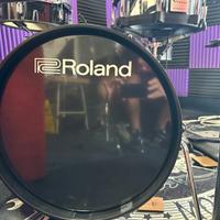 ROLAND VAD