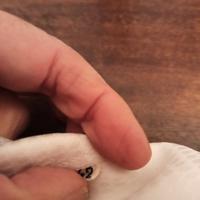 Camicia da equitazione donna