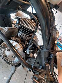 70malossi base minarelli vert e phbg 19 dell orto 