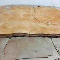 Fogli di radica di noce varie misure