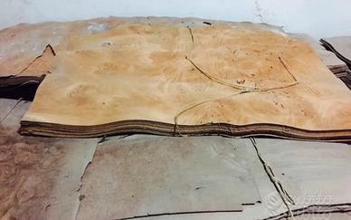 Fogli di radica di noce varie misure