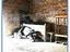 Immagine 29