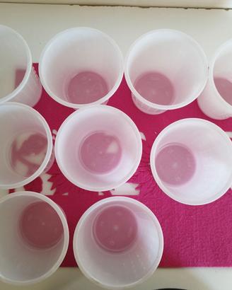 Set 12 Bicchieri Plastica Satinata Vintage