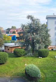 Liscate appartamento