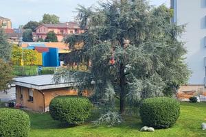 Liscate appartamento