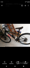 mtb 29 cannodale