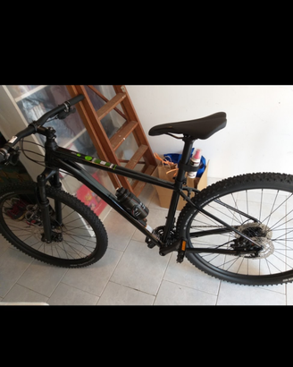 mtb 29 cannodale