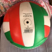 pallone da pallavolo o beach volley