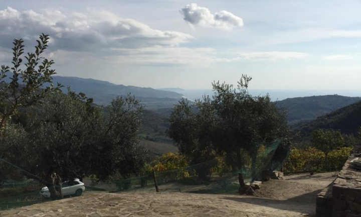 Terreno più rudere accatastato