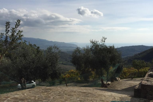 Terreno più rudere accatastato