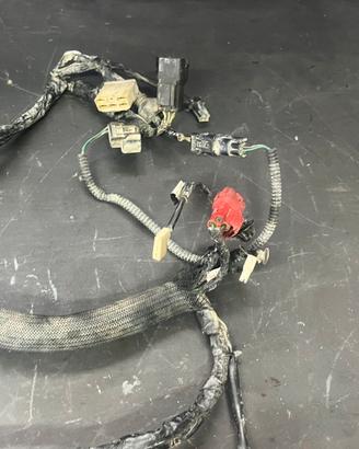 Impianto elettrico crf 250 2014-2017 450 2013-2014