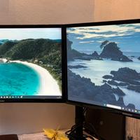 Coppia schermi Samsung curved 21 pollici