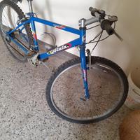 Bici Atala trophy Mountain bike